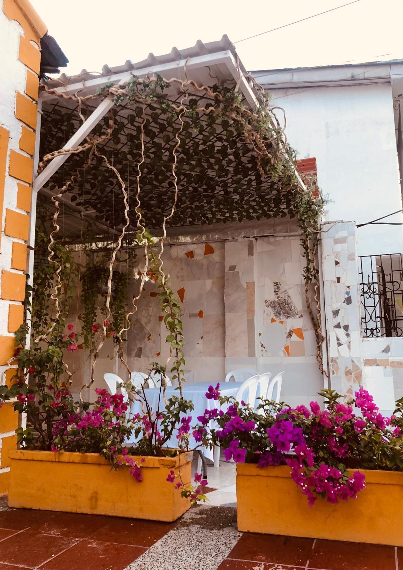 Martinica Hostel — Photos 3